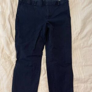 Banana Republic Deep Blue Trousers